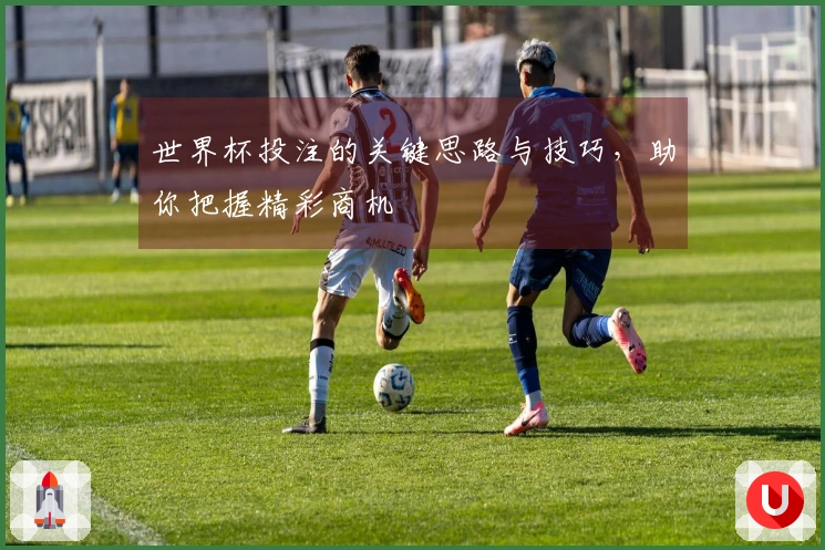 世界杯投注的关键思路与技巧，助你把握精彩商机