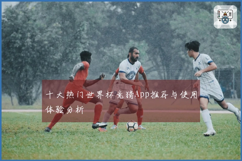 十大热门世界杯竞猜App推荐与使用体验分析