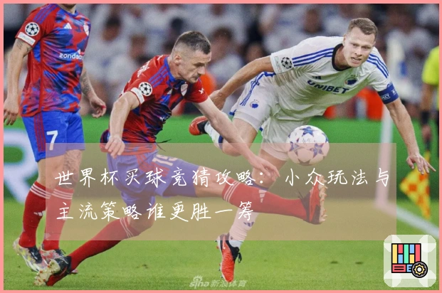 世界杯买球竞猜攻略：小众玩法与主流策略谁更胜一筹