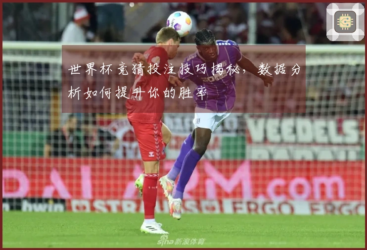 世界杯竞猜投注技巧揭秘，数据分析如何提升你的胜率