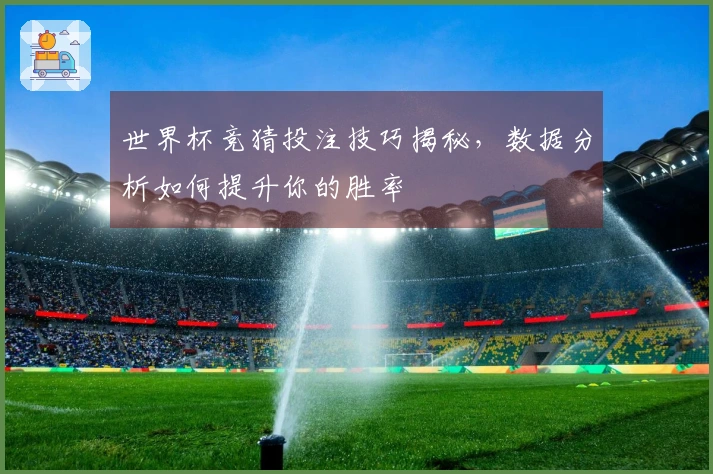 世界杯竞猜投注技巧揭秘，数据分析如何提升你的胜率