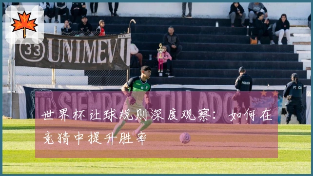 世界杯让球规则深度观察：如何在竞猜中提升胜率