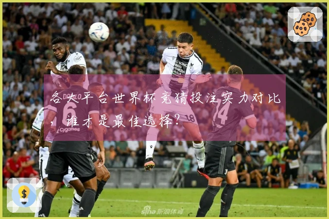各大平台世界杯竞猜投注实力对比，谁才是最佳选择？