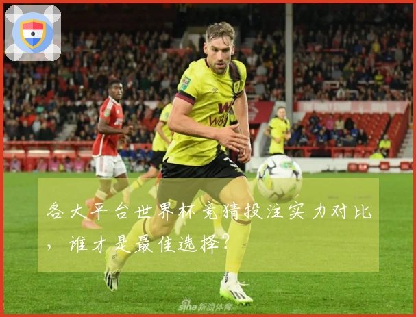 各大平台世界杯竞猜投注实力对比，谁才是最佳选择？
