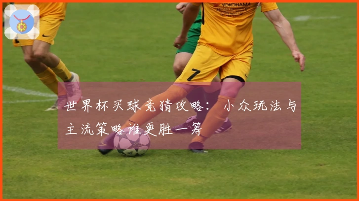 世界杯买球竞猜攻略：小众玩法与主流策略谁更胜一筹