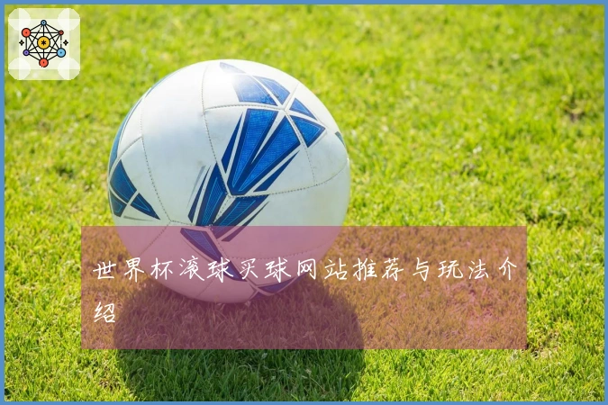 世界杯滚球买球网站推荐与玩法介绍
