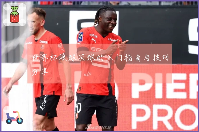 世界杯滚球买球的入门指南与技巧分享