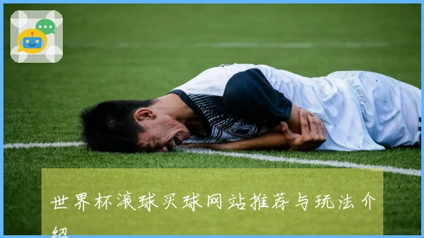 世界杯滚球买球网站推荐与玩法介绍