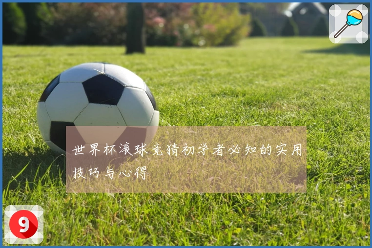 世界杯滚球竞猜初学者必知的实用技巧与心得