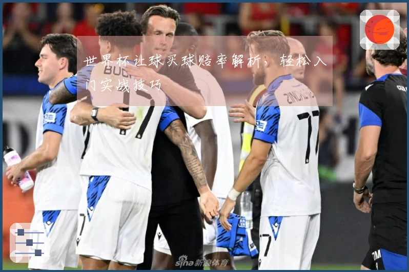 世界杯让球买球赔率解析，轻松入门实战技巧